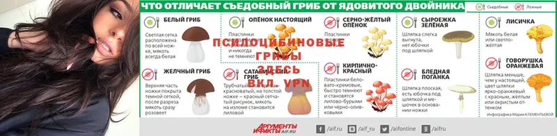 кракен ссылки  Верхняя Тура  Галлюциногенные грибы мухоморы 